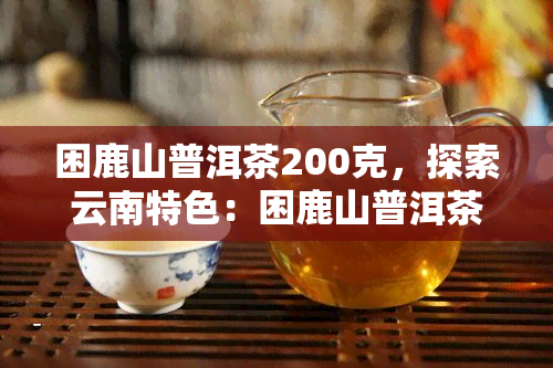 困鹿山普洱茶200克，探索云南特色：困鹿山普洱茶200克，品味浓香与历的交织