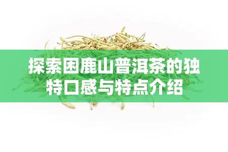 探索困鹿山普洱茶的独特口感与特点介绍