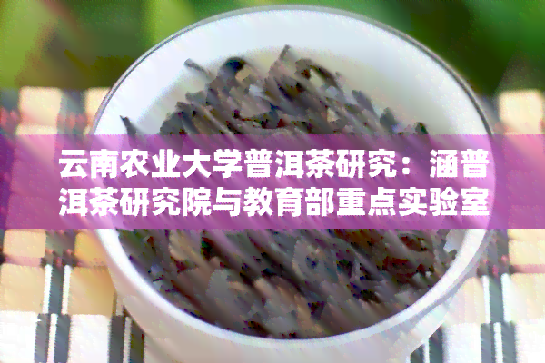 云南农业大学普洱茶研究：涵普洱茶研究院与教育部重点实验室的全面探索