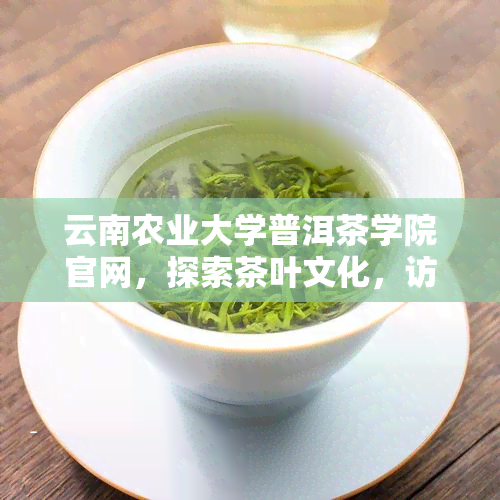 云南农业大学普洱茶学院官网，探索茶叶文化，访问云南农业大学普洱茶学院官网！