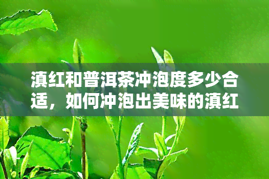 滇红和普洱茶冲泡度多少合适，如何冲泡出美味的滇红和普洱茶？适宜的冲泡度是多少？