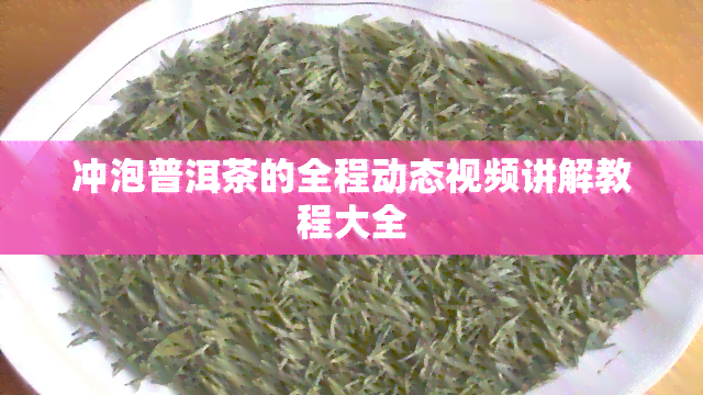 冲泡普洱茶的全程动态视频讲解教程大全