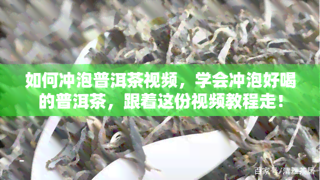 如何冲泡普洱茶视频，学会冲泡好喝的普洱茶，跟着这份视频教程走！