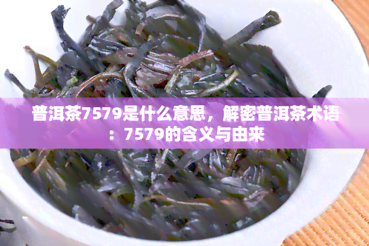 普洱茶7579是什么意思，解密普洱茶术语：7579的含义与由来