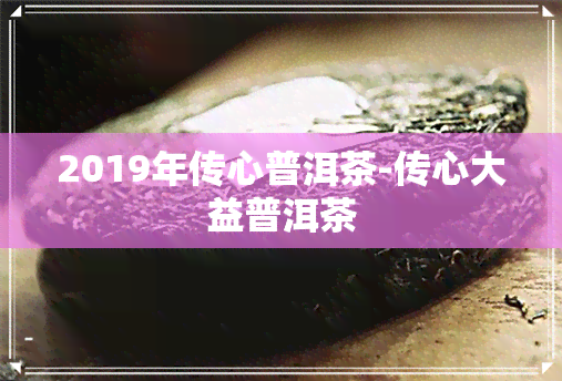 2019年传心普洱茶-传心大益普洱茶