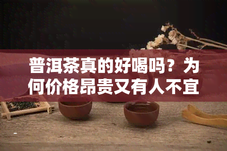 普洱茶真的好喝吗？为何价格昂贵又有人不宜饮用？