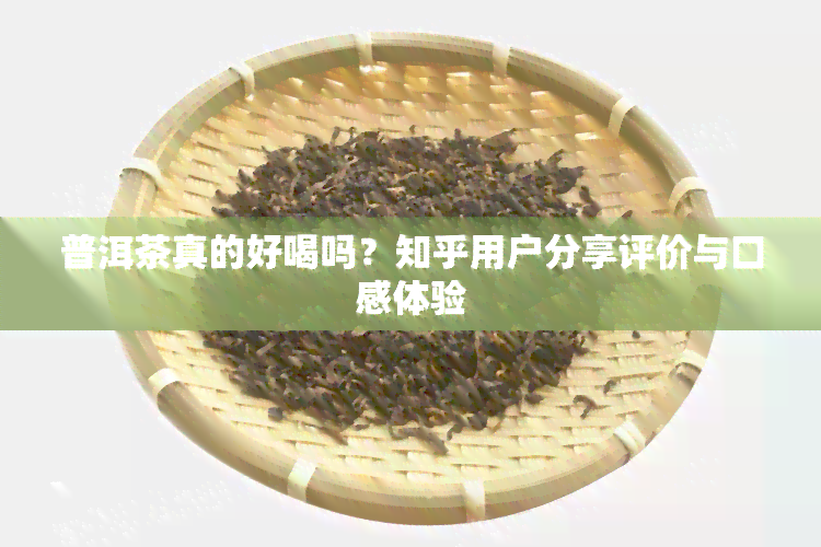 普洱茶真的好喝吗？知乎用户分享评价与口感体验