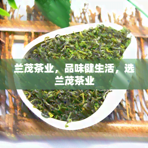 兰茂茶业，品味健生活，选兰茂茶业