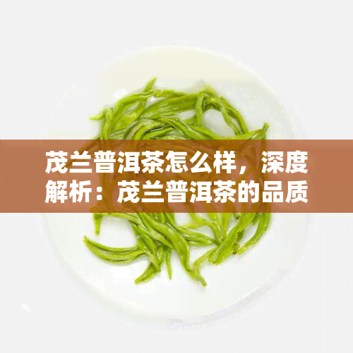 茂兰普洱茶怎么样，深度解析：茂兰普洱茶的品质与口感如何？