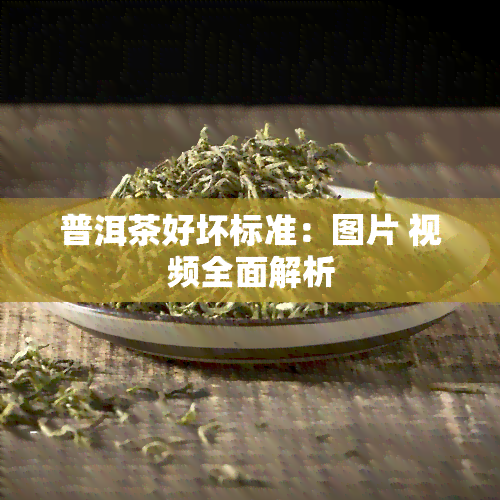 普洱茶好坏标准：图片 视频全面解析