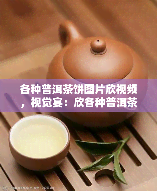 各种普洱茶饼图片欣视频，视觉宴：欣各种普洱茶饼的精美图片与视频