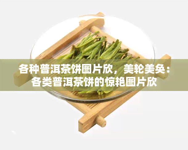 各种普洱茶饼图片欣，美轮美奂：各类普洱茶饼的惊艳图片欣