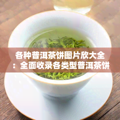 各种普洱茶饼图片欣大全：全面收录各类型普洱茶饼图片及其价格