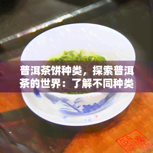 普洱茶饼种类，探索普洱茶的世界：了解不同种类的普洱茶饼