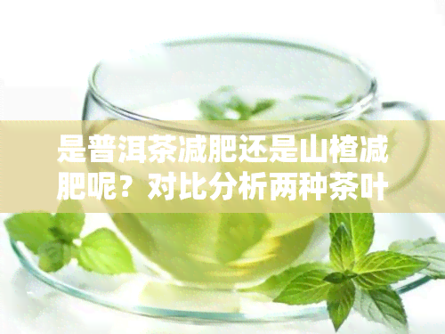 是普洱茶减肥还是山楂减肥呢？对比分析两种茶叶的减肥效果