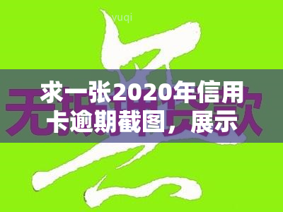 求一张2020年信用卡逾期截图，展示欠款情况的图片