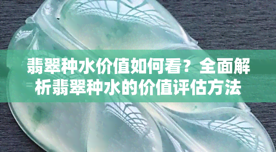 翡翠种水价值如何看？全面解析翡翠种水的价值评估方法