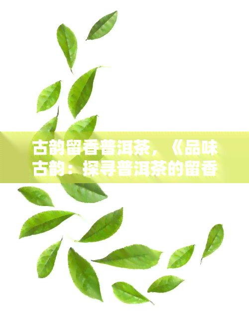 古韵留香普洱茶，《品味古韵：探寻普洱茶的留香之秘》