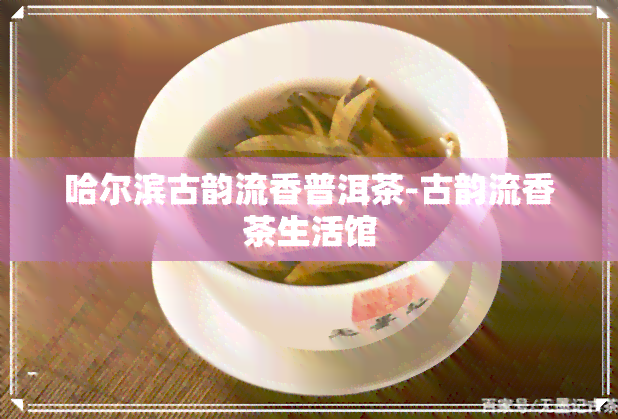 哈尔滨古韵流香普洱茶-古韵流香茶生活馆