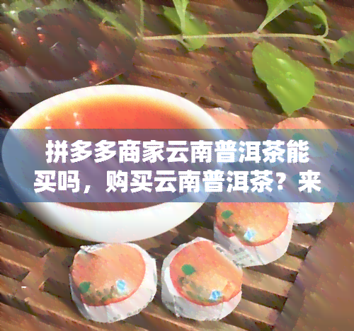 拼多多商家云南普洱茶能买吗，购买云南普洱茶？来拼多多商家店铺看看！