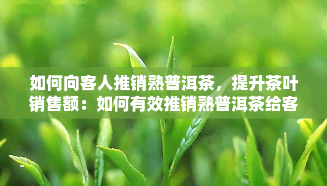 如何向客人推销熟普洱茶，提升茶叶销售额：如何有效推销熟普洱茶给客人