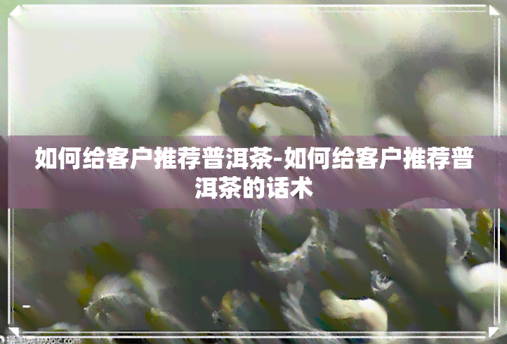 如何给客户推荐普洱茶-如何给客户推荐普洱茶的话术