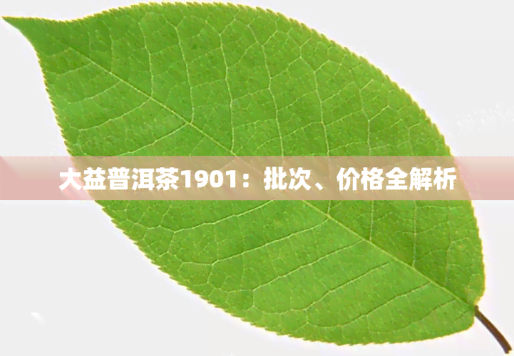 大益普洱茶1901：批次、价格全解析