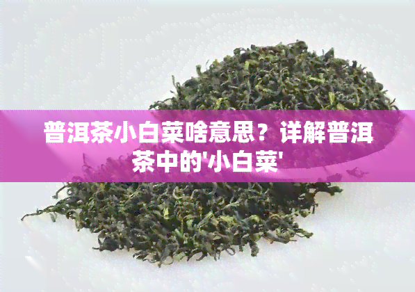 普洱茶小白菜啥意思？详解普洱茶中的'小白菜'