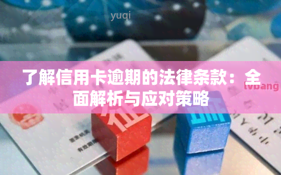 了解信用卡逾期的法律条款：全面解析与应对策略