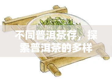 不同普洱茶存，探索普洱茶的多样存方式：从度到湿度的影响