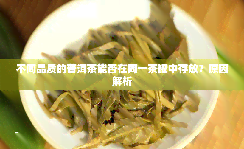 不同品质的普洱茶能否在同一茶罐中存放？原因解析