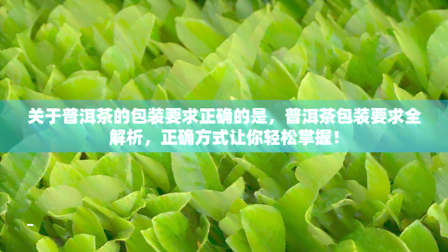 关于普洱茶的包装要求正确的是，普洱茶包装要求全解析，正确方式让你轻松掌握！