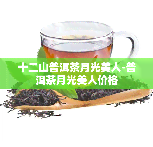 十二山普洱茶月光美人-普洱茶月光美人价格