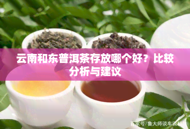 云南和东普洱茶存放哪个好？比较分析与建议