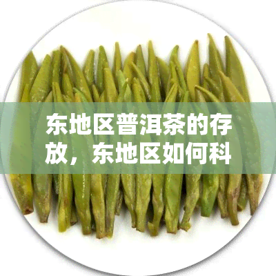 东地区普洱茶的存放，东地区如何科学存放普洱茶？