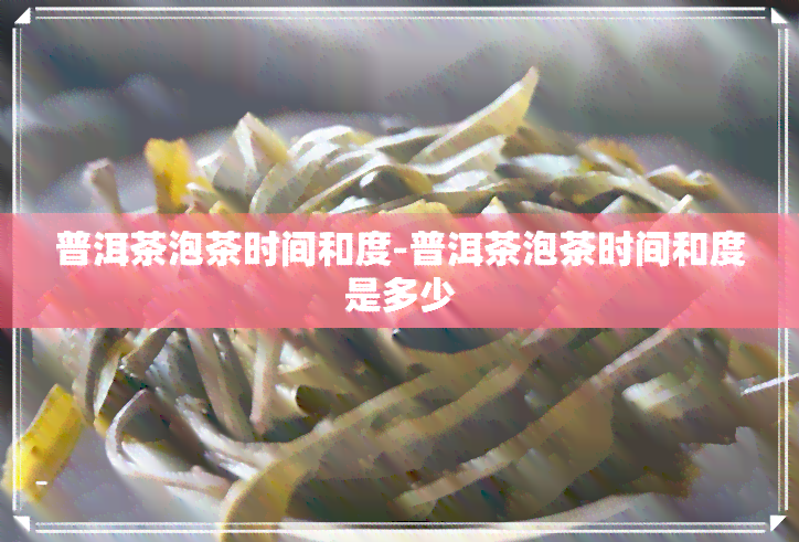 普洱茶泡茶时间和度-普洱茶泡茶时间和度是多少