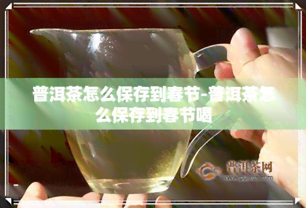 普洱茶怎么保存到春节-普洱茶怎么保存到春节喝