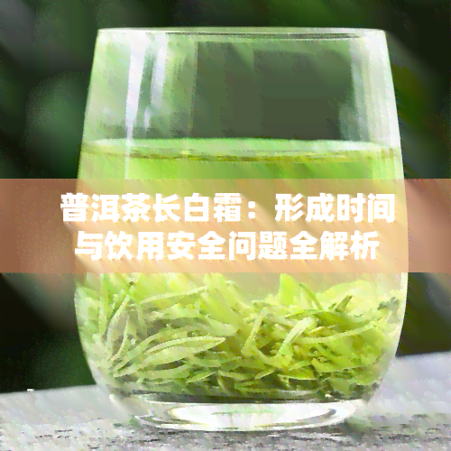 普洱茶长白霜：形成时间与饮用安全问题全解析