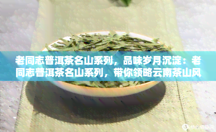 老同志普洱茶名山系列，品味岁月沉淀：老同志普洱茶名山系列，带你领略云南茶山风情