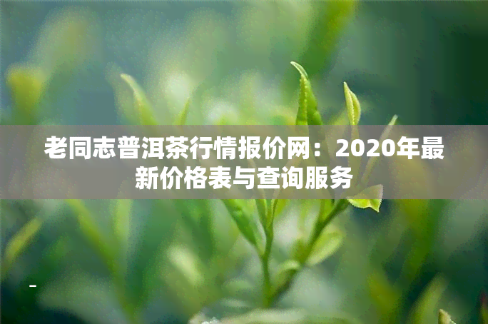 老同志普洱茶行情报价网：2020年最新价格表与查询服务