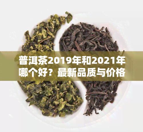 普洱茶2019年和2021年哪个好？最新品质与价格对比一览