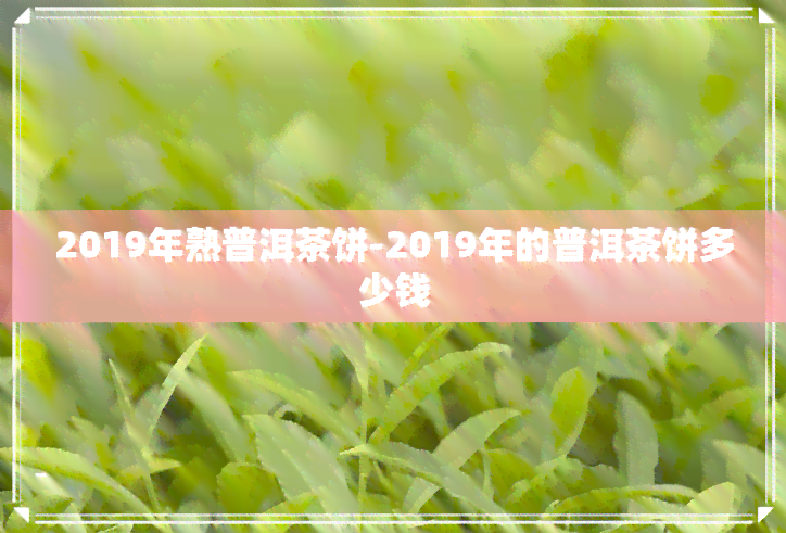 2019年熟普洱茶饼-2019年的普洱茶饼多少钱