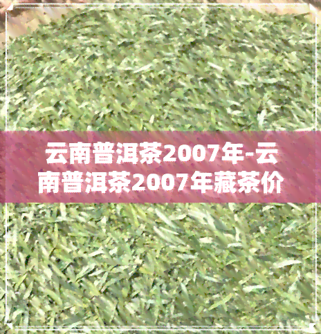 云南普洱茶2007年-云南普洱茶2007年藏茶价格