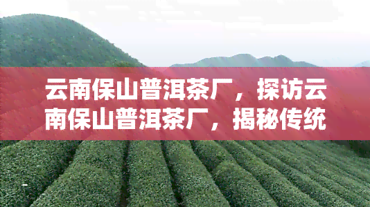 云南保山普洱茶厂，探访云南保山普洱茶厂，揭秘传统制茶工艺与美味的秘密