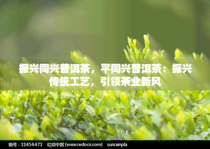 振兴同兴普洱茶，平同兴普洱茶：振兴传统工艺，引领茶业新风