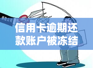 信用卡逾期还款账户被冻结，信用卡逾期还款导致账户冻结，如何解冻？