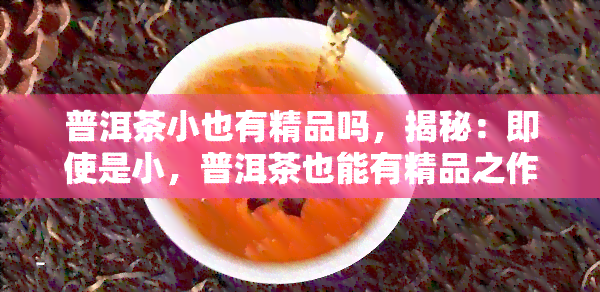 普洱茶小也有精品吗，揭秘：即使是小，普洱茶也能有精品之作！