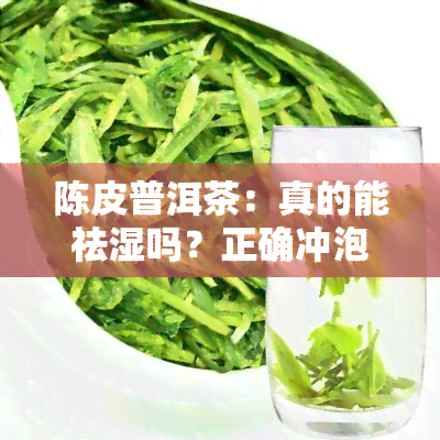 陈皮普洱茶：真的能祛湿吗？正确冲泡方法大揭秘！