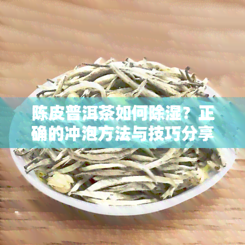 陈皮普洱茶如何除湿？正确的冲泡方法与技巧分享