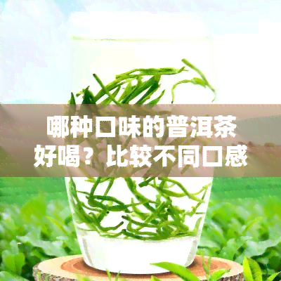 哪种口味的普洱茶好喝？比较不同口感的选择